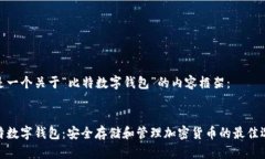 这是一个关于“比特数字
