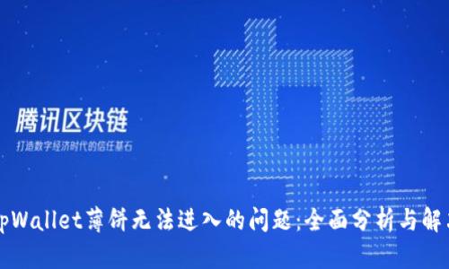 解决tpWallet薄饼无法进入的问题：全面分析与解决方案