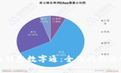 如何开通钱包数字通：全