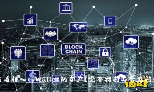 如何查看转入tpWallet的资产？完整指南与常见问题解答