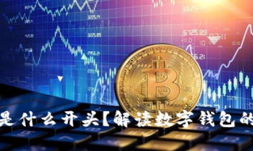 数字钱包编号是什么开头？解读数字钱包的构成与安全性