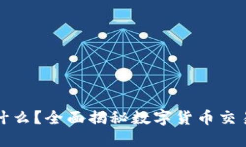 区块链钱包能买什么？全面揭秘数字货币交易的可能性与选择