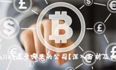 : tpWallet属于哪里的公司？