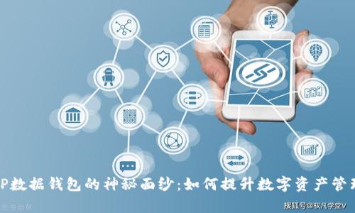 揭开TP数据钱包的神秘面纱：如何提升数字资产管理效率