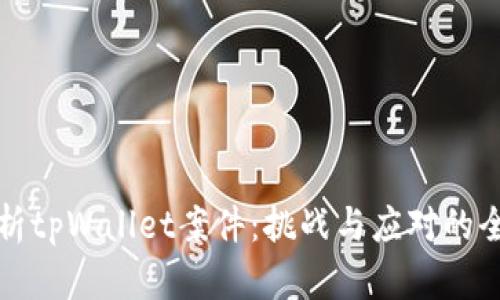 深入分析tpWallet案件：挑战与应对的全面解读