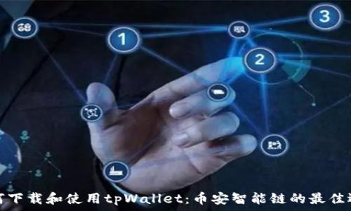   
如何下载和使用tpWallet：币安智能链的最佳选择