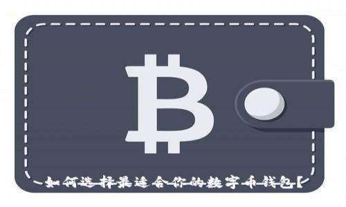 如何选择最适合你的数字币钱包？