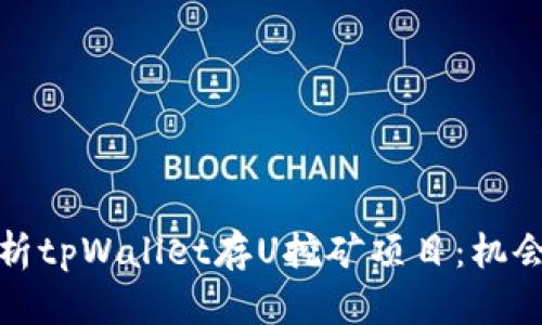 全面解析tpWallet存U挖矿项目：机会与挑战