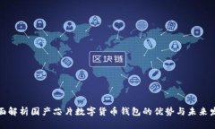 全面解析国产芯片数字货