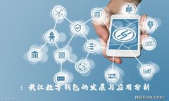: 武汉数字钱包的发展与应用分析