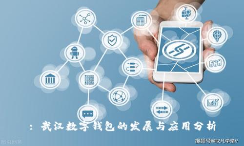 : 武汉数字钱包的发展与应用分析