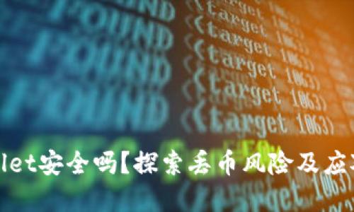 tpWallet安全吗？探索丢币风险及应对策略