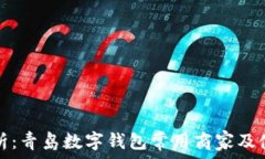 全面解析：青岛数字钱包