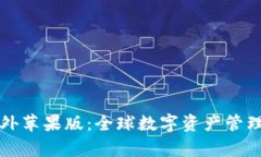 tpWallet海外苹果版：全球数字资产管理的最佳选择