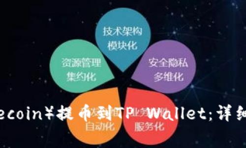 如何将狗币（Dogecoin）提币到TP Wallet：详细教程与注意事项