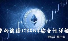 tpWallet中的波场（TRON）安全性详解：用户须知