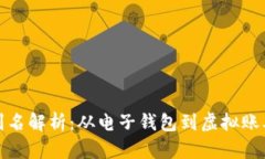 数字钱包的别名解析：从电子钱包到虚拟账本的