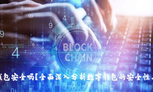 数字钱包安全吗？全面深入分析数字钱包的安全性与风险