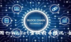 如何使用tpWallet查询持币情况：全面指南