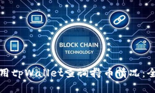 如何使用tpWallet查询持币情况：全面指南