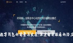 数字钱包的前景与发展：深度解析联通的潜力