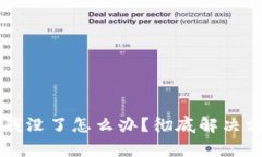 tpWallet里的钱没了怎么办？
