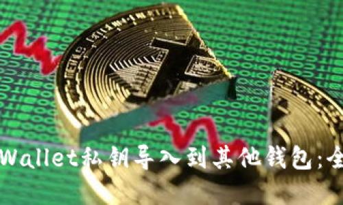 如何将tpWallet私钥导入到其他钱包：全方位指南