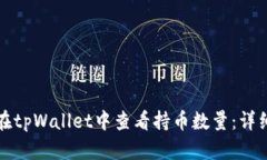 如何在tpWallet中查看持币数量：详细指南
