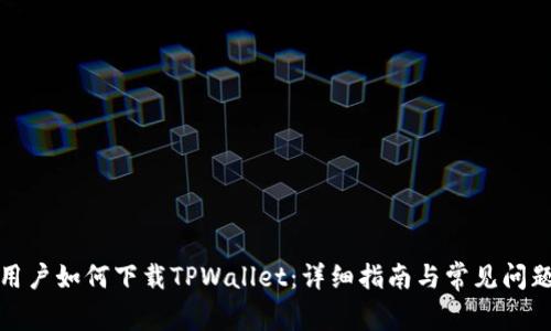 安卓用户如何下载TPWallet：详细指南与常见问题解答