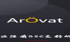 tpWallet如何解决没有BSC支持的问题与替代方案