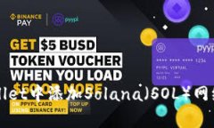 如何在tpWallet中添加Solana（SOL）网络的详细指南