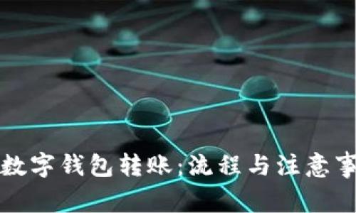 如何向数字钱包转账：流程与注意事项详解