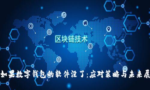 : 如果数字钱包的软件没了：应对策略与未来展望