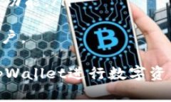   tpWallet博饼打不开的解决