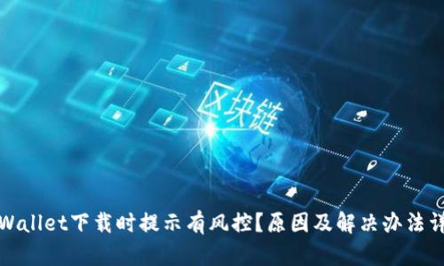 tpWallet下载时提示有风控？原因及解决办法详解