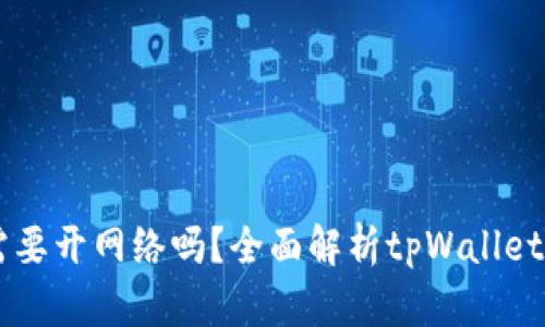 建tpWallet需要开网络吗？全面解析tpWallet的使用与设置