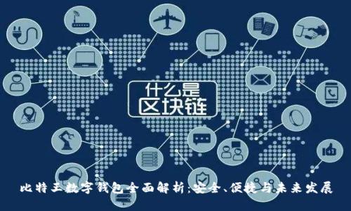比特王数字钱包全面解析：安全、便捷与未来发展