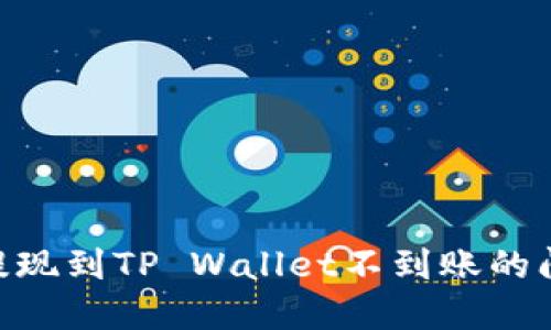 如何解决HT提现到TP Wallet不到账的问题：详细指南