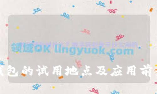 数字钱包的试用地点及应用前景分析