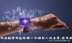 如何为数字钱包选择一个