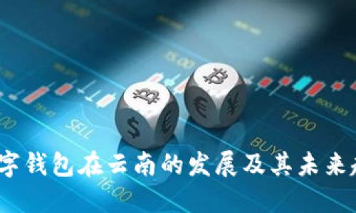  数字钱包在云南的发展及其未来趋势