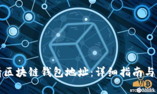 如何申请区块链钱包地址：详细指南与注意事项