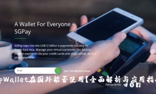 tpWallet在国外能否使用？全面解析与应用指南