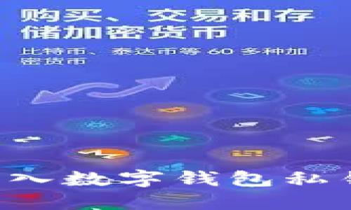 如何安全导入数字钱包私钥：详细指南