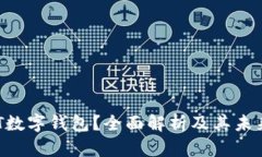 什么是SMT数字钱包？全面