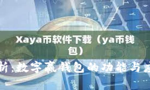 全面解析：数字赢钱包的功能与应用前景