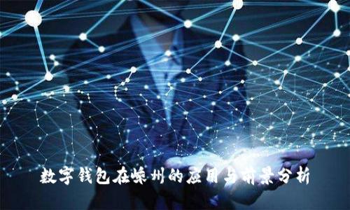 数字钱包在嵊州的应用与前景分析