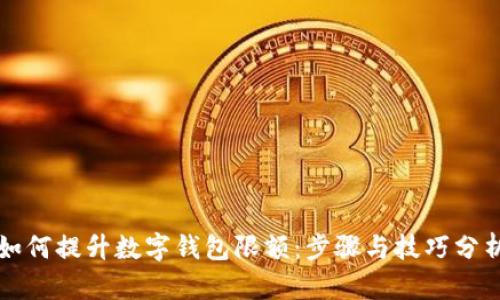 如何提升数字钱包限额：步骤与技巧分析