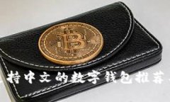 最安全的支持中文的数字
