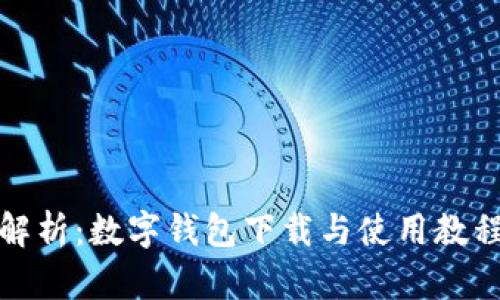 全面解析：数字钱包下载与使用教程图解